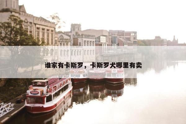 谁家有卡斯罗，卡斯罗犬哪里有卖