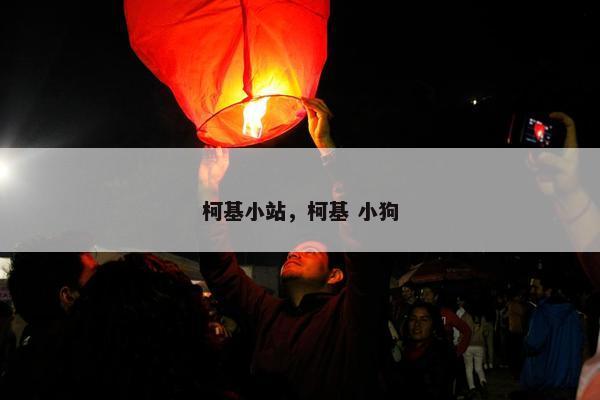 柯基小站，柯基 小狗