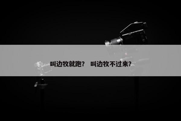 叫边牧就跑？ 叫边牧不过来？
