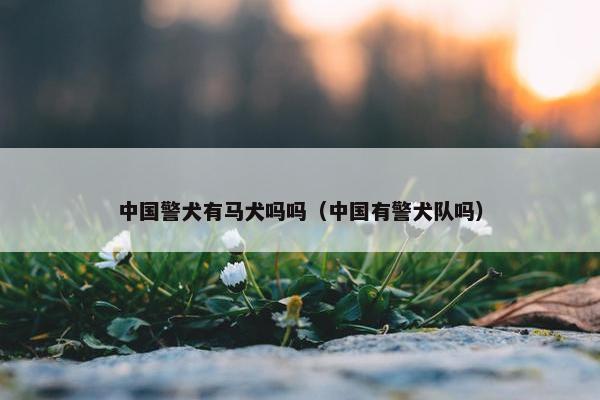 中国警犬有马犬吗吗（中国有警犬队吗）