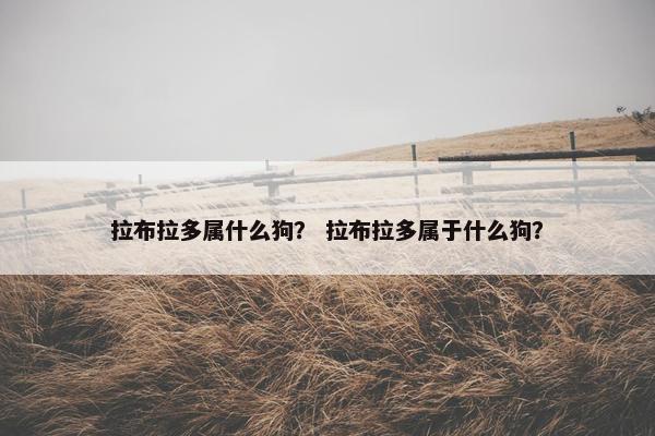 拉布拉多属什么狗？ 拉布拉多属于什么狗？