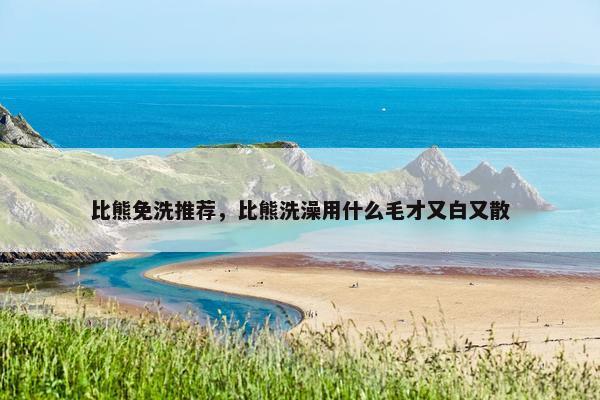 比熊免洗推荐，比熊洗澡用什么毛才又白又散