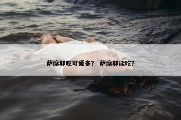 萨摩耶吃可爱多？ 萨摩耶能吃？