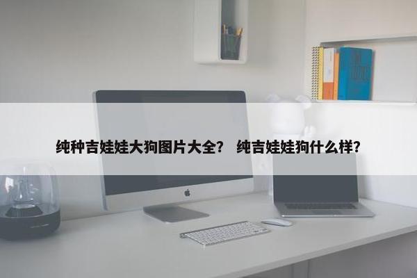 纯种吉娃娃大狗图片大全？ 纯吉娃娃狗什么样？