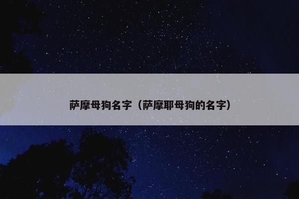 萨摩母狗名字（萨摩耶母狗的名字）