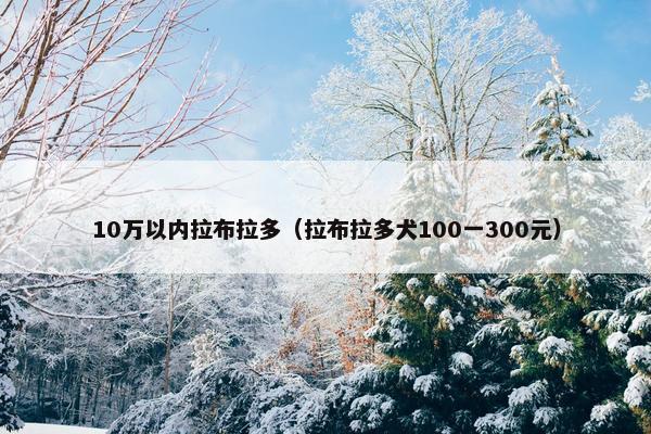 10万以内拉布拉多（拉布拉多犬100一300元）
