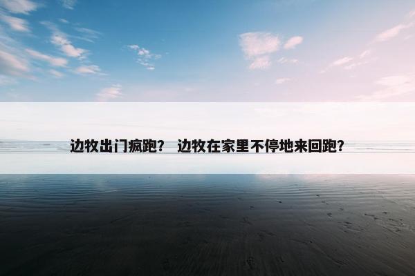 边牧出门疯跑？ 边牧在家里不停地来回跑？