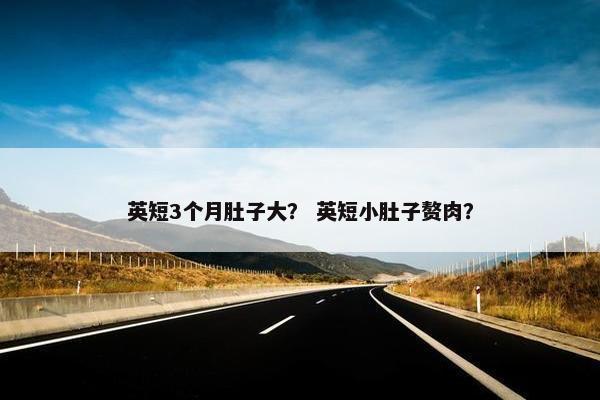 英短3个月肚子大？ 英短小肚子赘肉？