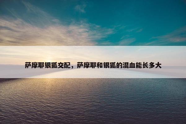 萨摩耶银狐交配，萨摩耶和银狐的混血能长多大