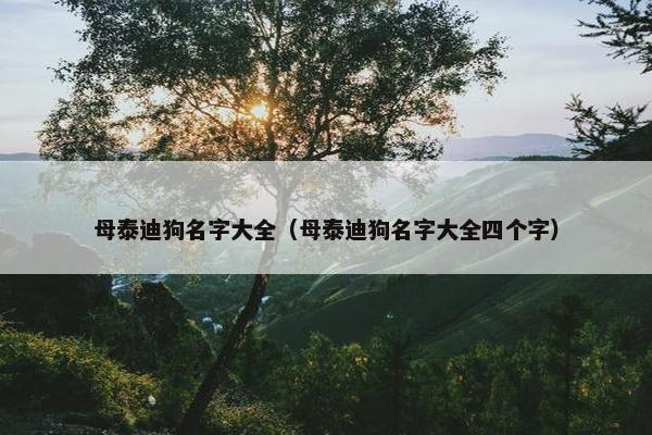 母泰迪狗名字大全（母泰迪狗名字大全四个字）