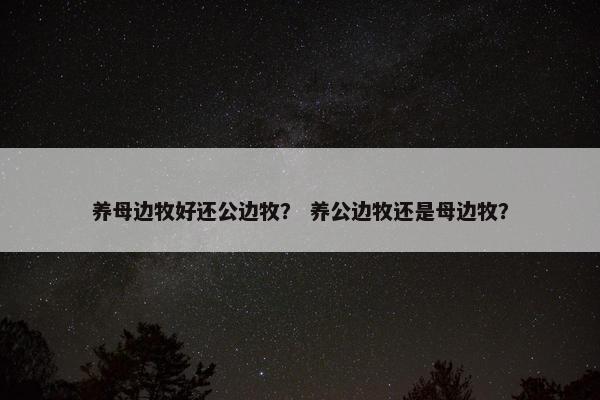 养母边牧好还公边牧？ 养公边牧还是母边牧？