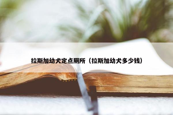 拉斯加幼犬定点厕所（拉斯加幼犬多少钱）
