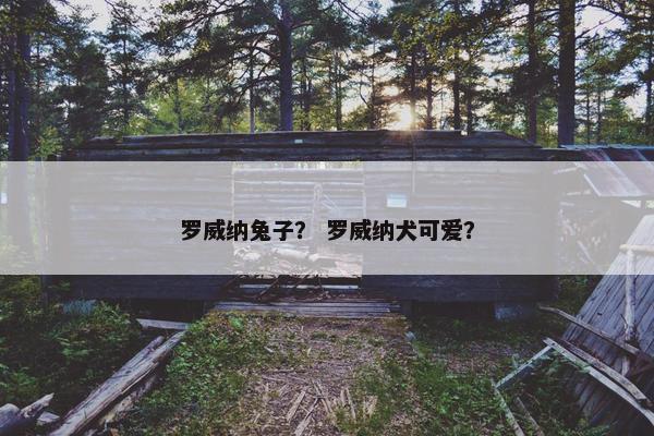 罗威纳兔子？ 罗威纳犬可爱？
