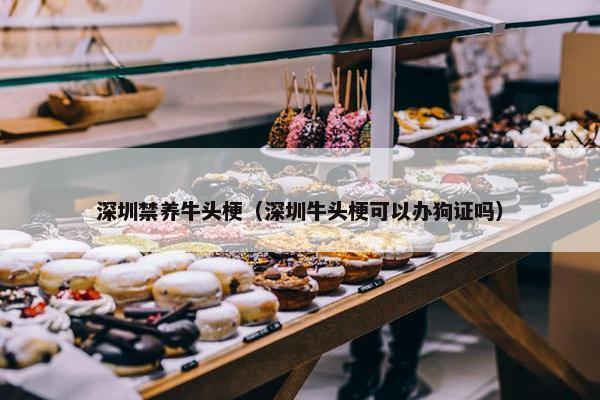 深圳禁养牛头梗（深圳牛头梗可以办狗证吗）