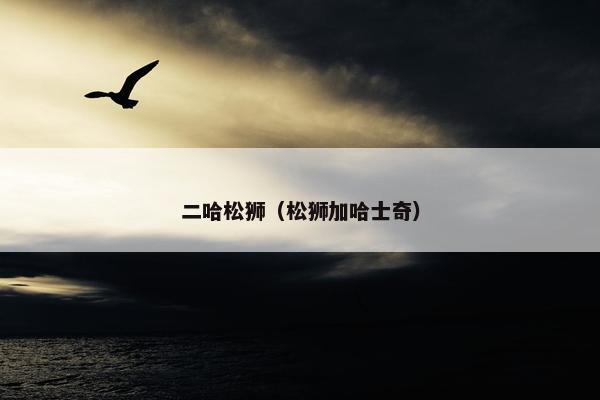 二哈松狮（松狮加哈士奇）