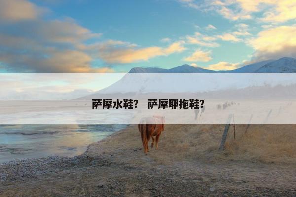 萨摩水鞋？ 萨摩耶拖鞋？