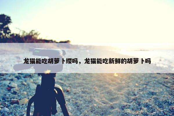 龙猫能吃胡萝卜缨吗，龙猫能吃新鲜的胡萝卜吗