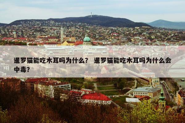 暹罗猫能吃木耳吗为什么？ 暹罗猫能吃木耳吗为什么会中毒？