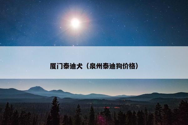 厦门泰迪犬（泉州泰迪狗价格）