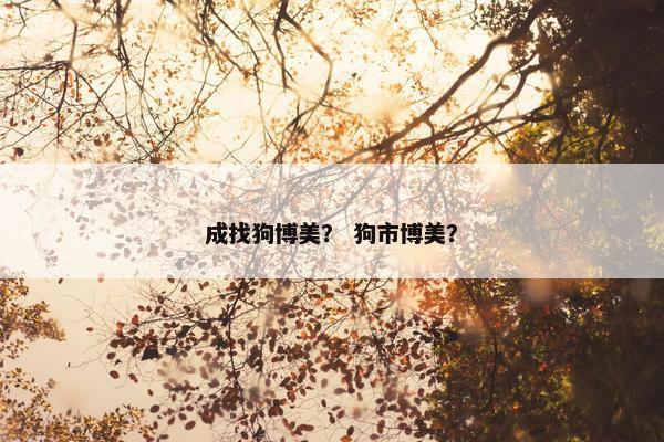 成找狗博美？ 狗市博美？