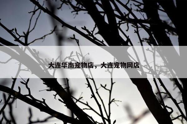 大连华南宠物店，大连宠物网店