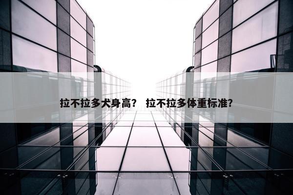 拉不拉多犬身高？ 拉不拉多体重标准？