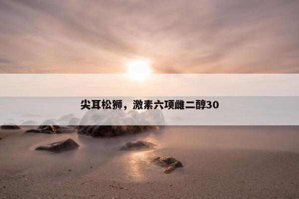 尖耳松狮，激素六项雌二醇30