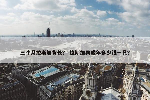 三个月拉斯加背长？ 拉斯加狗成年多少钱一只？