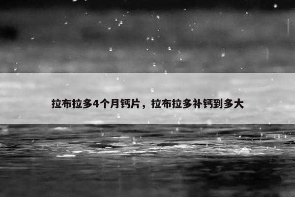 拉布拉多4个月钙片，拉布拉多补钙到多大