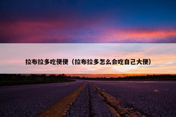 拉布拉多吃便便（拉布拉多怎么会吃自己大便）