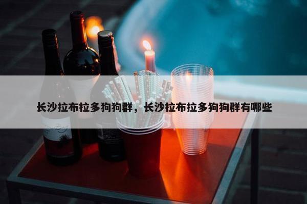 长沙拉布拉多狗狗群，长沙拉布拉多狗狗群有哪些