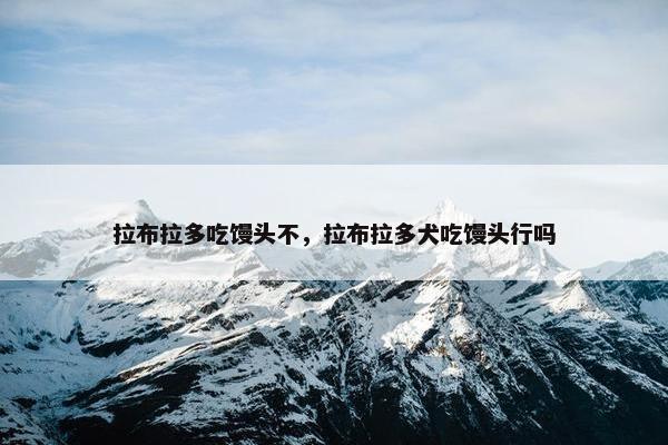 拉布拉多吃馒头不，拉布拉多犬吃馒头行吗