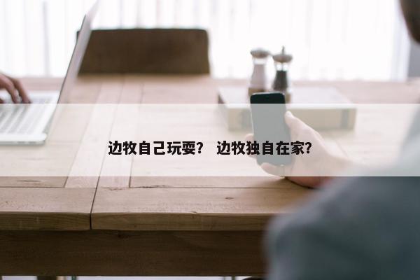 边牧自己玩耍？ 边牧独自在家？