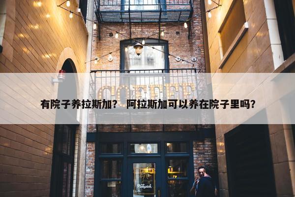 有院子养拉斯加？ 阿拉斯加可以养在院子里吗？