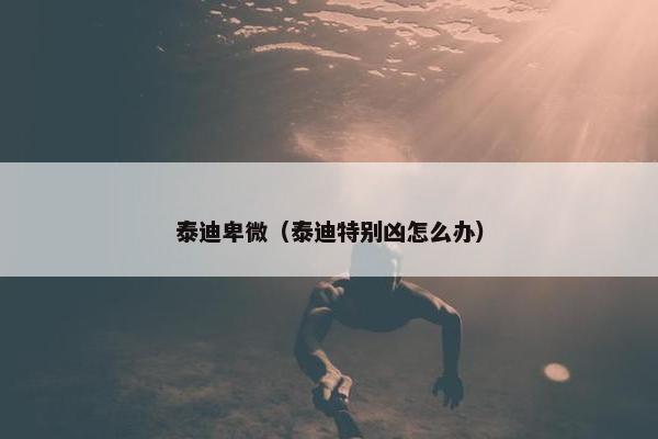 泰迪卑微（泰迪特别凶怎么办）