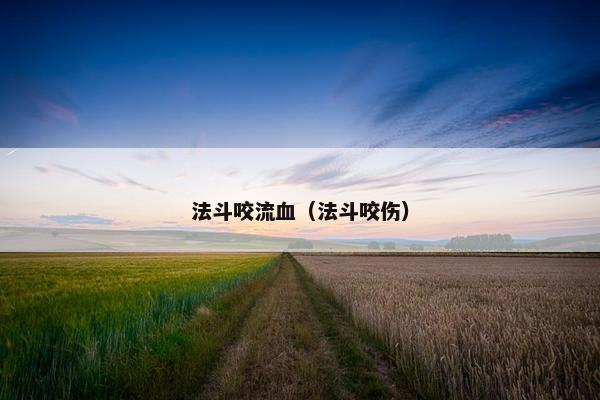 法斗咬流血（法斗咬伤）