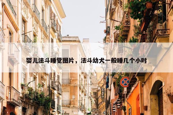 婴儿法斗睡觉图片，法斗幼犬一般睡几个小时