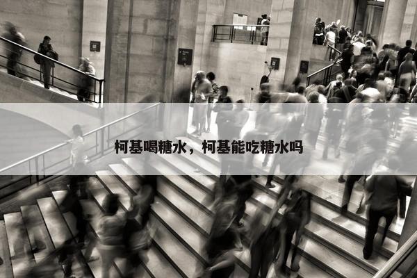 柯基喝糖水，柯基能吃糖水吗