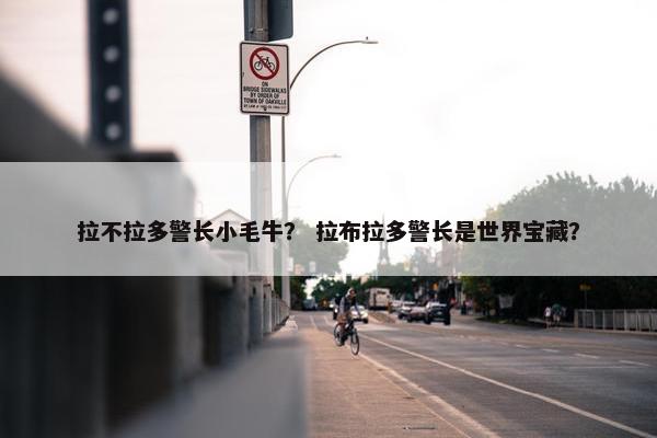 拉不拉多警长小毛牛？ 拉布拉多警长是世界宝藏？