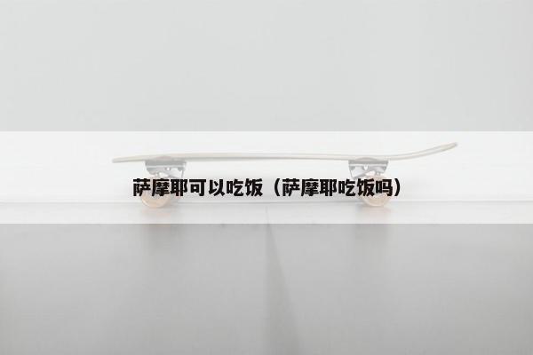 萨摩耶可以吃饭（萨摩耶吃饭吗）