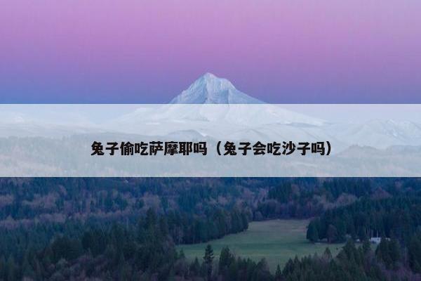 兔子偷吃萨摩耶吗（兔子会吃沙子吗）