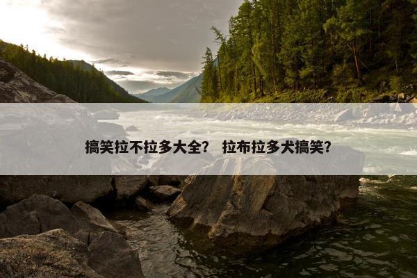 搞笑拉不拉多大全？ 拉布拉多犬搞笑？