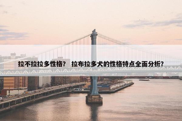 拉不拉拉多性格？ 拉布拉多犬的性格特点全面分析？