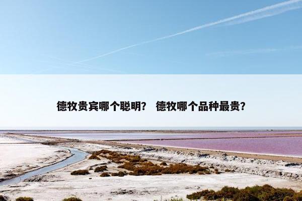 德牧贵宾哪个聪明？ 德牧哪个品种最贵？