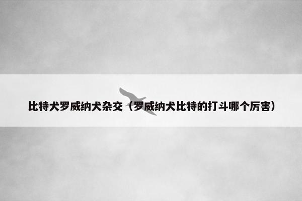 比特犬罗威纳犬杂交（罗威纳犬比特的打斗哪个厉害）