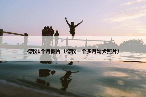 德牧1个月图片（德牧一个多月幼犬照片）