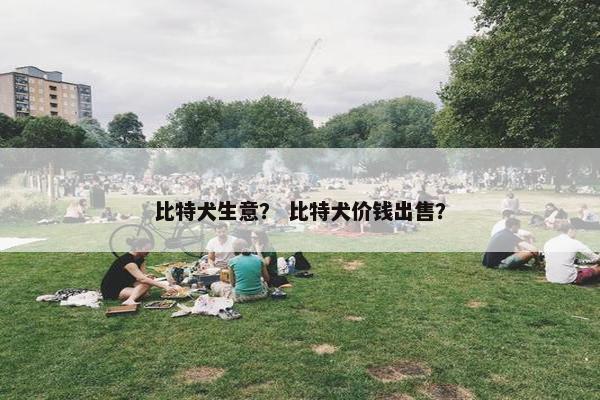 比特犬生意？ 比特犬价钱出售？