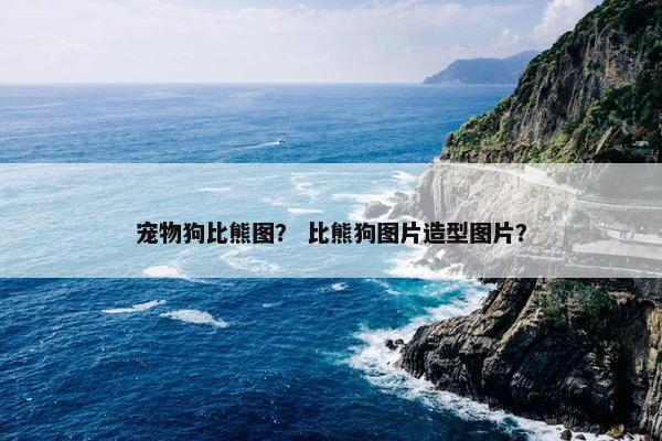 宠物狗比熊图？ 比熊狗图片造型图片？
