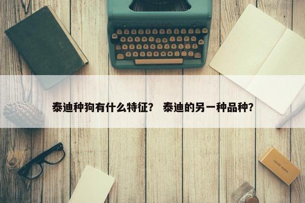 泰迪种狗有什么特征？ 泰迪的另一种品种？