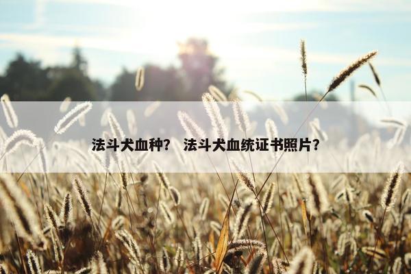 法斗犬血种？ 法斗犬血统证书照片？